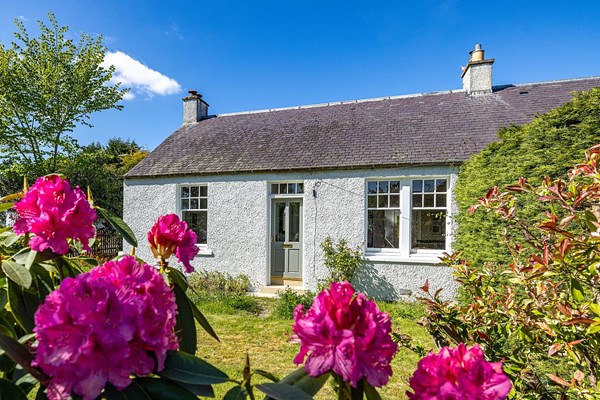 14 Brewster Place